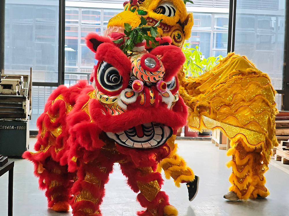 b833c4dbf568a03e062ab6f996b58982